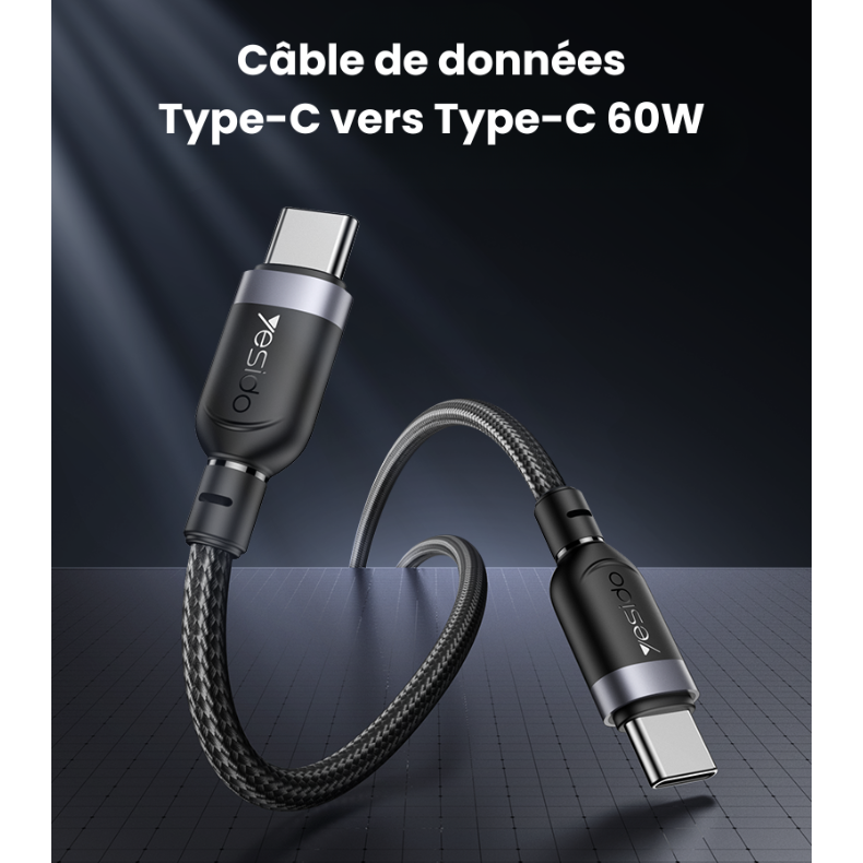 Câble au choix : Type-C vers Type-C 60W