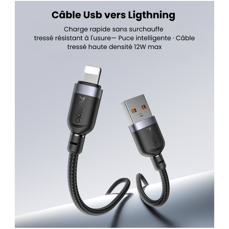 Câble au choix : USB-A vers Lightning 12W