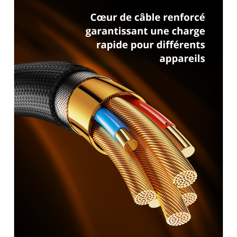 Cœur de câble renforcé garantissant une charge rapide pour différents appareils