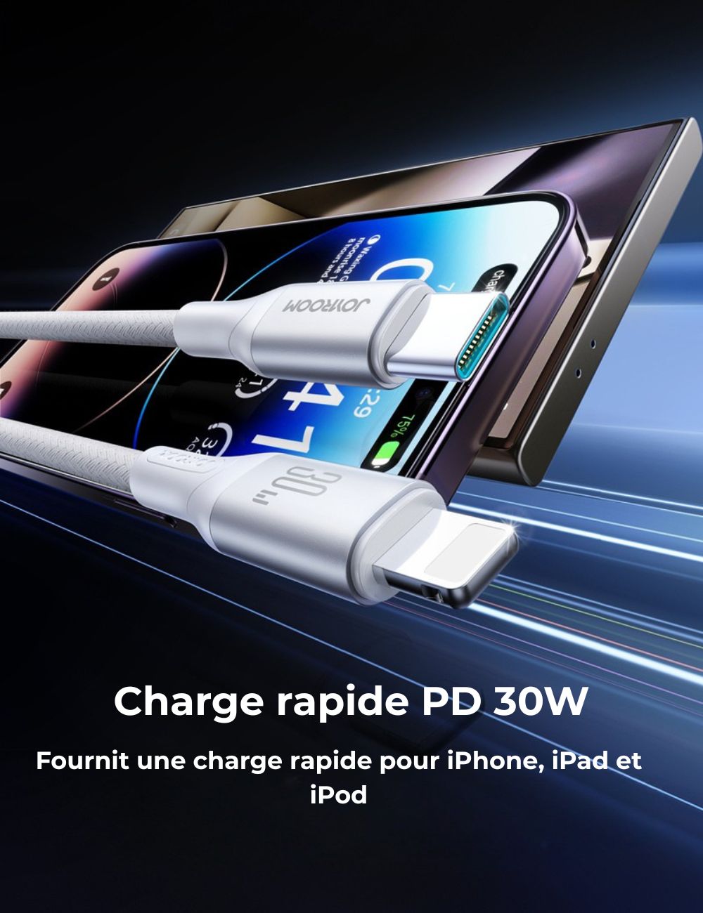 PACK DUO ÉNÉRGIE : CABLE ET  CHARGEUR RAPIDE