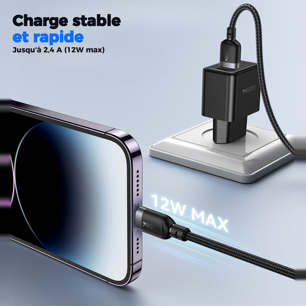 Charge stable et rapide jusqu'à 2,4 A (12W max)