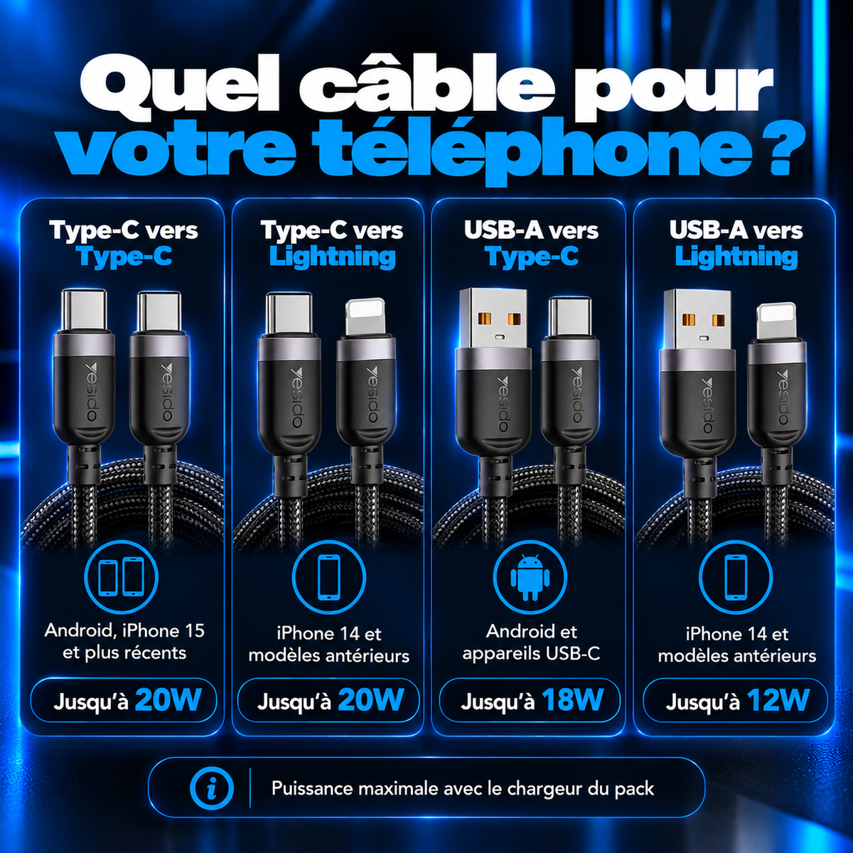 Quel câble choisir : Type-C vers Type-C, Type-C vers Lightning, USB-A vers Type-C ou USB-A vers Lightning, jusqu'à 20W avec le chargeur